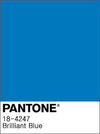 Brilliant Blue Kahurangi Shorts (2-12 years)