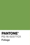 Foliage Green Tee (2 -14 years)