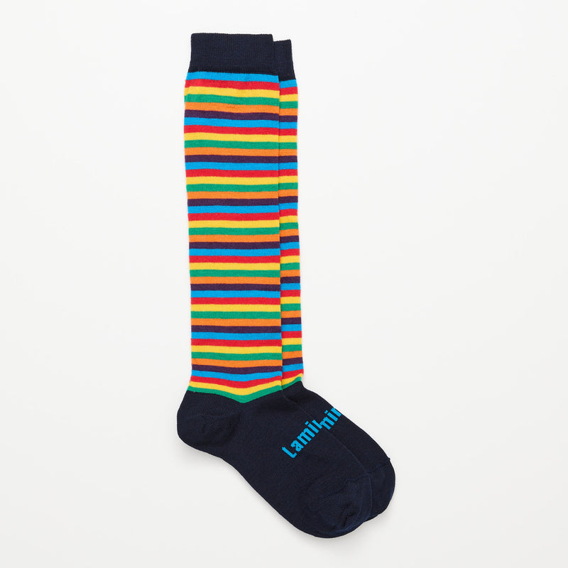 Jester Knee-High Merino Socks (Newborn-12 years)