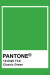 Classic Green/Kākāriki Leggings (2-4 years)